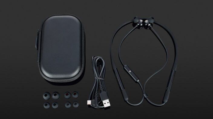 Beyerdynamic Blue Byrd (2. Generation)
