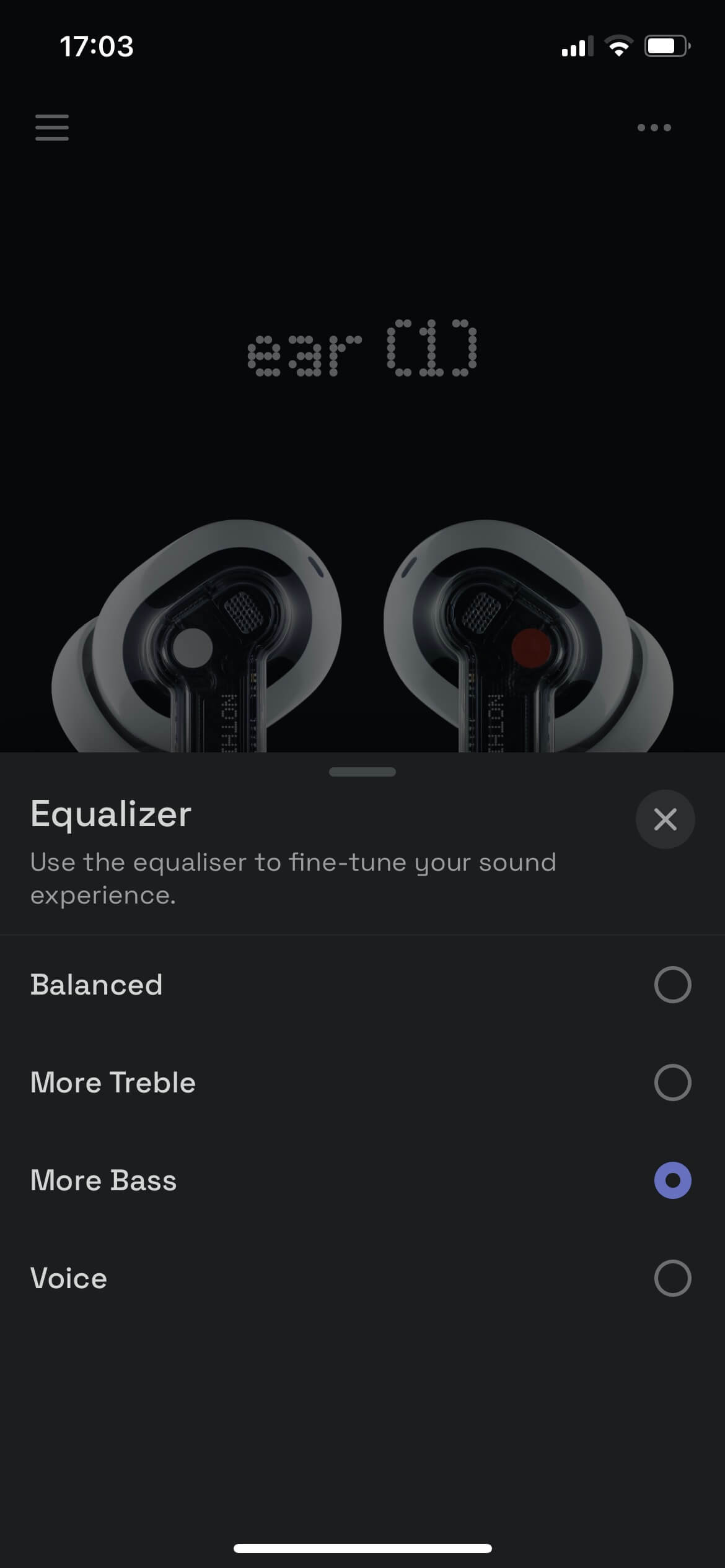 Nothing ear(1)