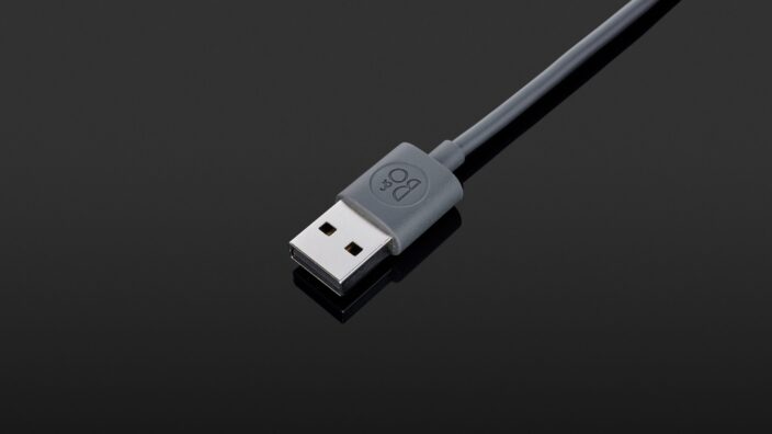 Bang & Olufsen Beoplay Portal PC PS