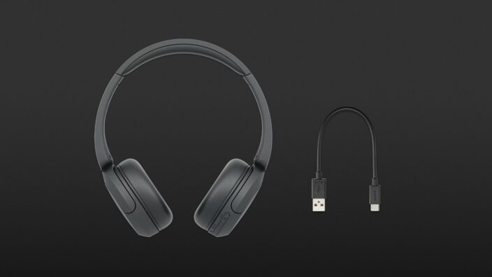 Sony WH-CH520