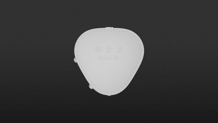 Sonos Roam SL